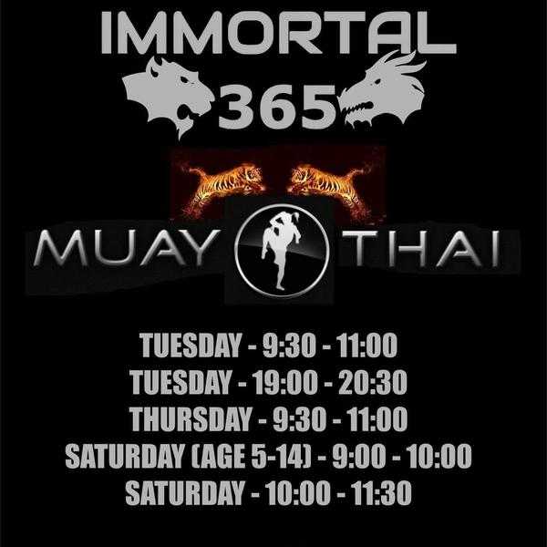 Muay thai classes