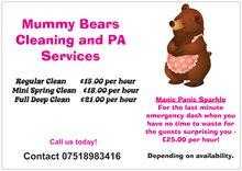 Mummy Bears Cleaning and PA Services