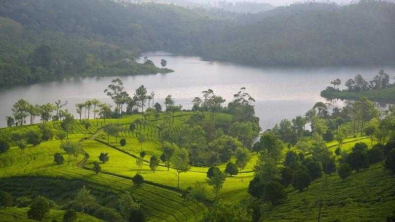 Munnar Tour Packages - Best Deals and Discount