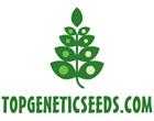 New site selling Hydroponic seeds