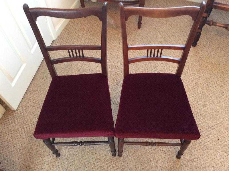 Nice pair of chairs just re-covered