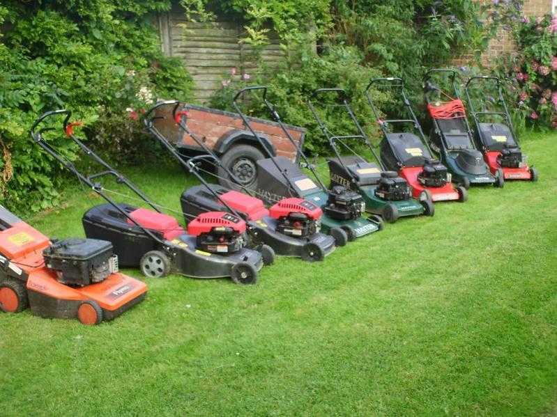 Noahs Mowers R Gowers, Lawn Mower Services ,Bexhill, Eastbourne, Hastings, Rye, Heathfield