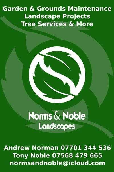 Norms amp Noble Landscapes