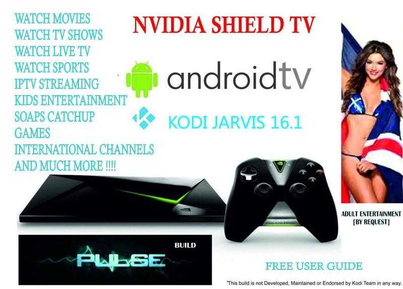 NVIDIA Shield TV Android 16GB 4K Media Player KODI PULSE BUILD