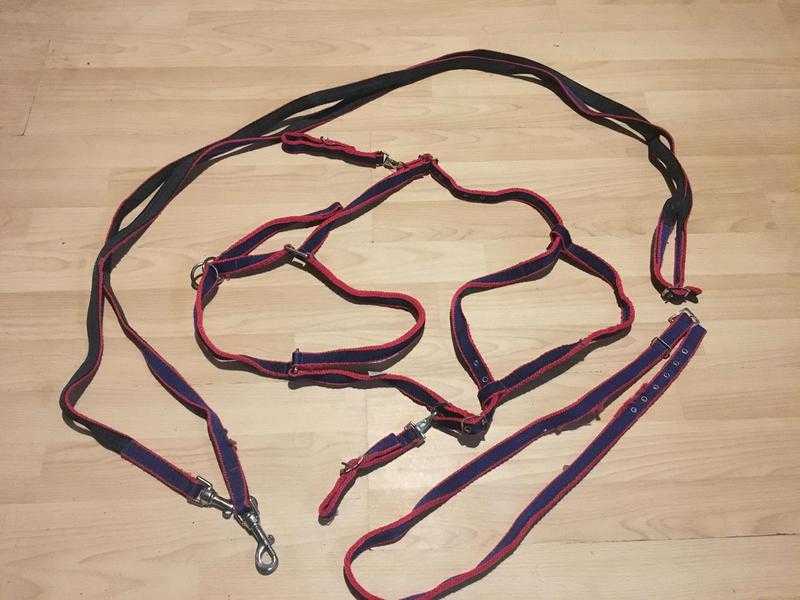 Nylon Training Bridle and Reins