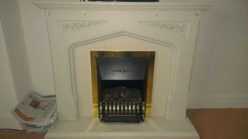 OFFERSFree Standing Fire place amp surround