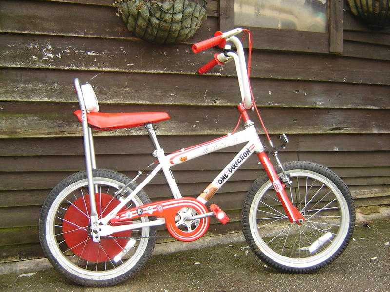 One Direction Girl039s 1D Bike