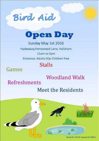 Open Day at Bird Aid