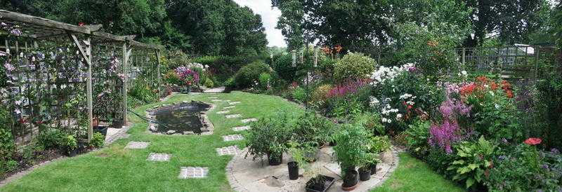 Open Garden, 1pm-5pm Sunday 20th Aug for Cats Protection Charity