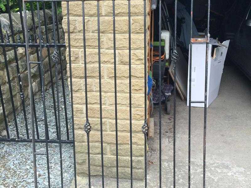 Ornate Wrought Iron Garden Gate