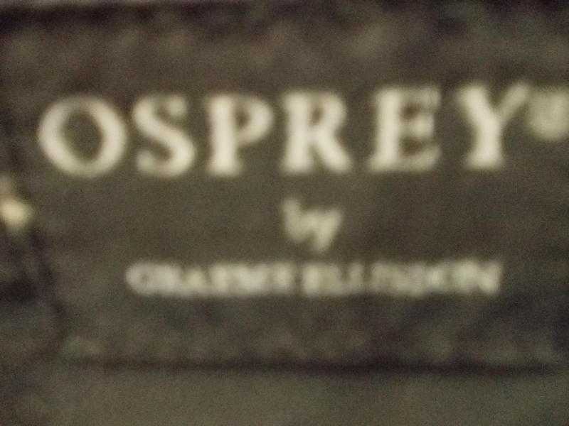 Osprey Handbag