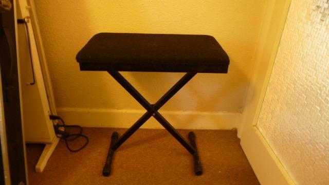 Padded Portable Keyboard Piano Seat.