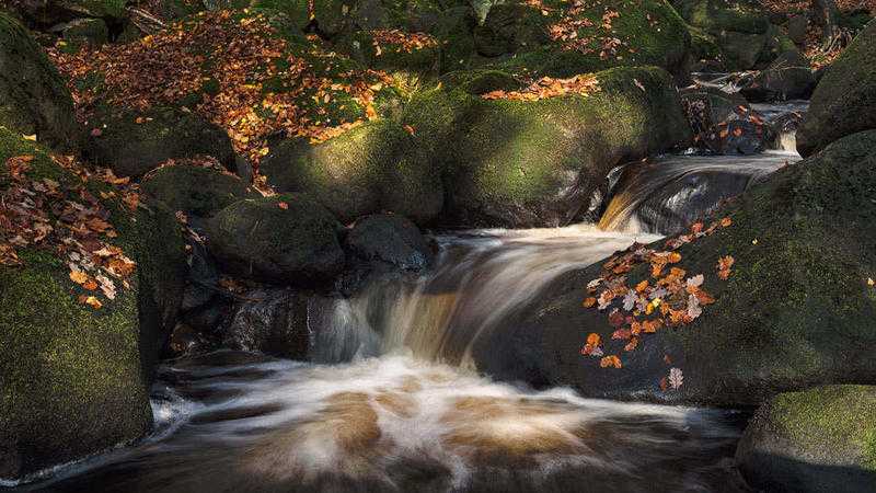 Padley Gorge, Peak District Photography Workshop - 11th to 13th April