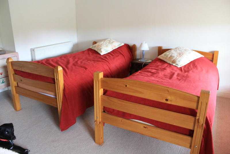 Pair of twinbunk beds with good quality mattresses