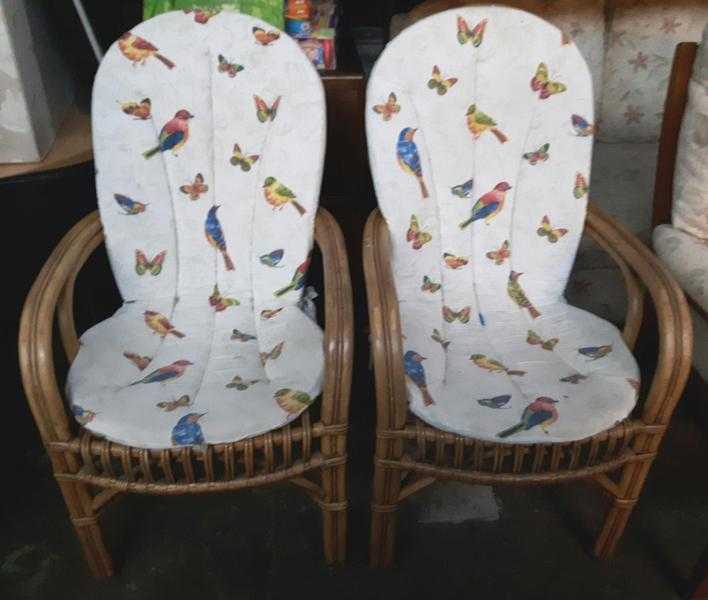 Pair of Wicker Armchairs with Seat Pads