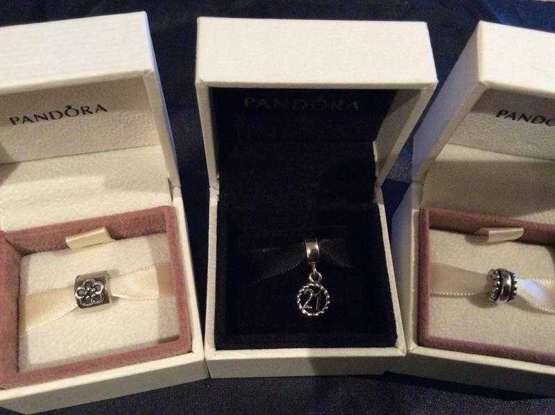 Pandora Charms