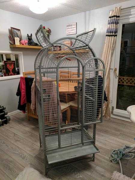 Parrot cage