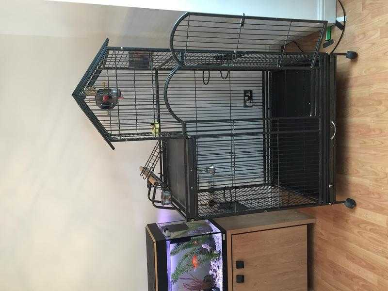 Parrot cage