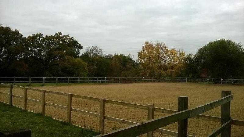 Part Livery Available Shipley West Sussex