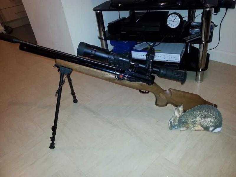 pcp air rifle , full set up for day and night for swap