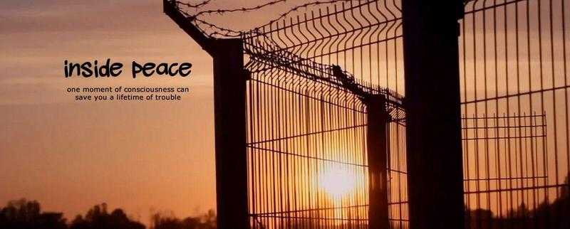 Peace Behind Barbed Wire