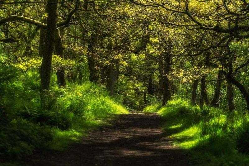 Peak District Photography Workshop - 5th March 2016