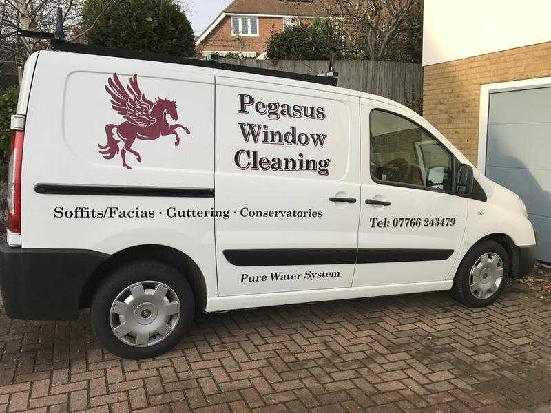 Pegasus window cleaning