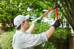 Perfect Gardening Services in London