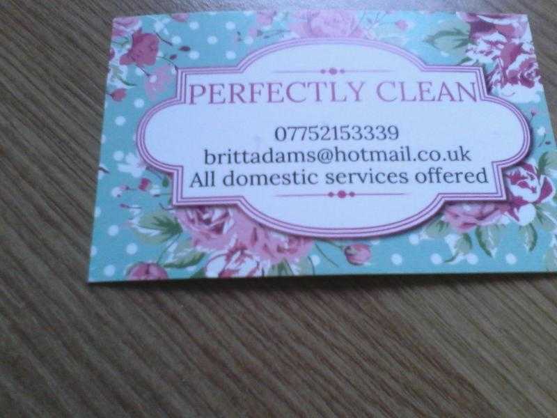 PERFECTLY CLEAN...ALL DOMESTIC SERVICES OFFERED