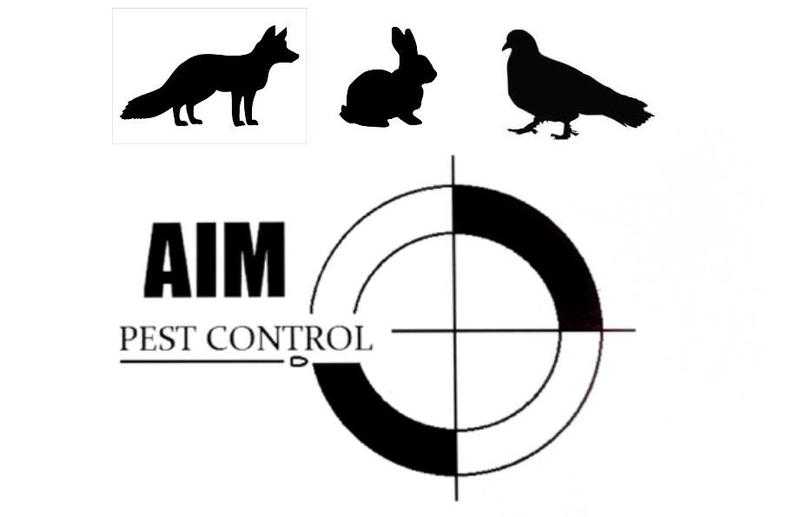 Pest control for Surrey. Fox, squirrel, birds, rabbits.