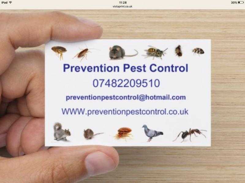 Pest control Liverpool