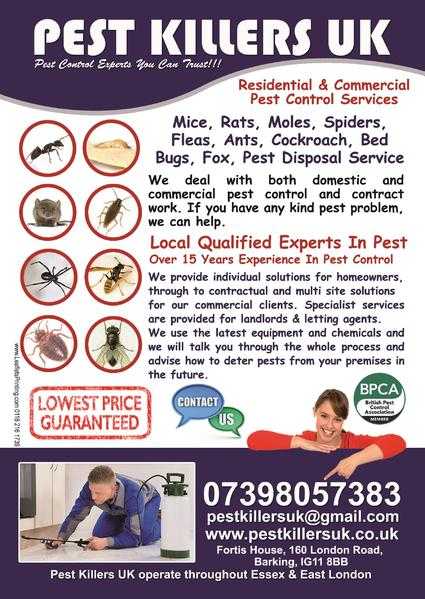 PEST KILLERS UK PEST CONTROL COVERING EAST LONDON AND ESSEX