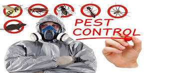 Pest Killers UK Pest Control Newham