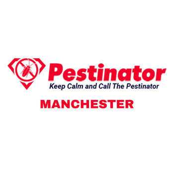 Pestinator Manchester - Efficient Pest Control Services in Manchester