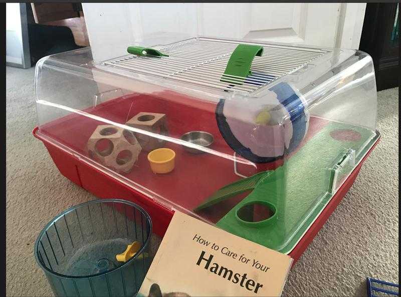 Pet Hamster Cage Set Ideal Christmas Present