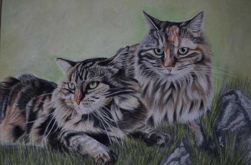 Pet portaits in Pastel pencil