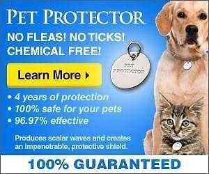 Pet Protector Disc flea and tick prevention