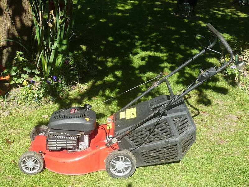 Petrol lawn mower  (Newick)