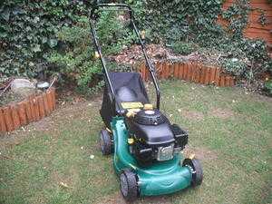 Petrol lawnmower for sale