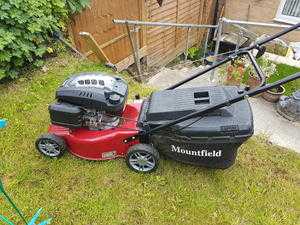 Petrol mower