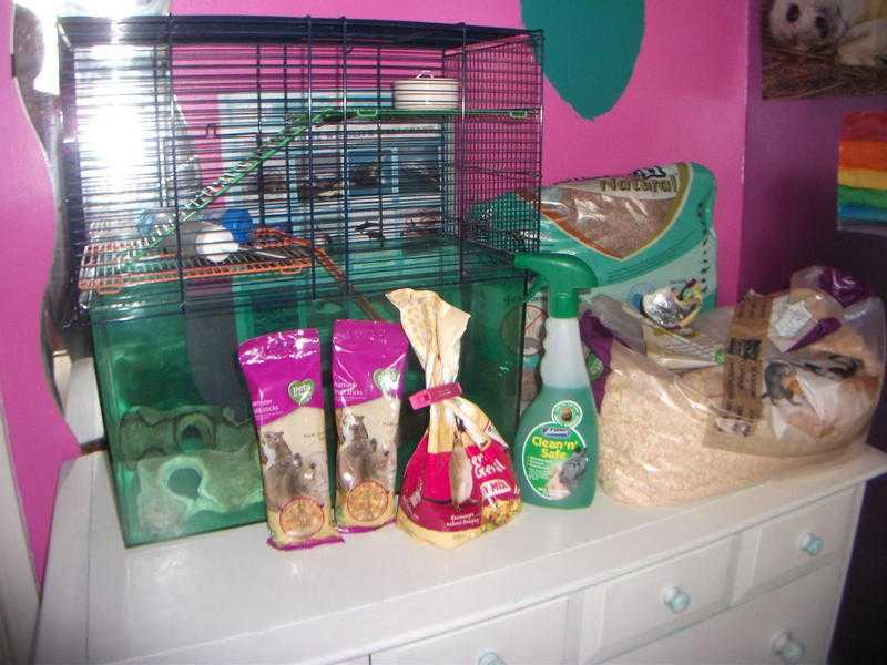 Pets at Home Gerbilarium