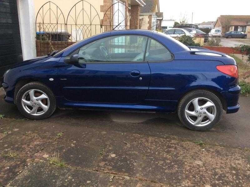 Peugeot 206 2004