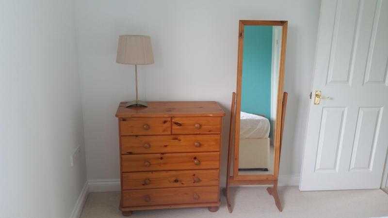 Pine Bedroom Furniture Suite inc. Large Stand Mirror EXCELLENT CONDITIONEXCELLENT PRICE