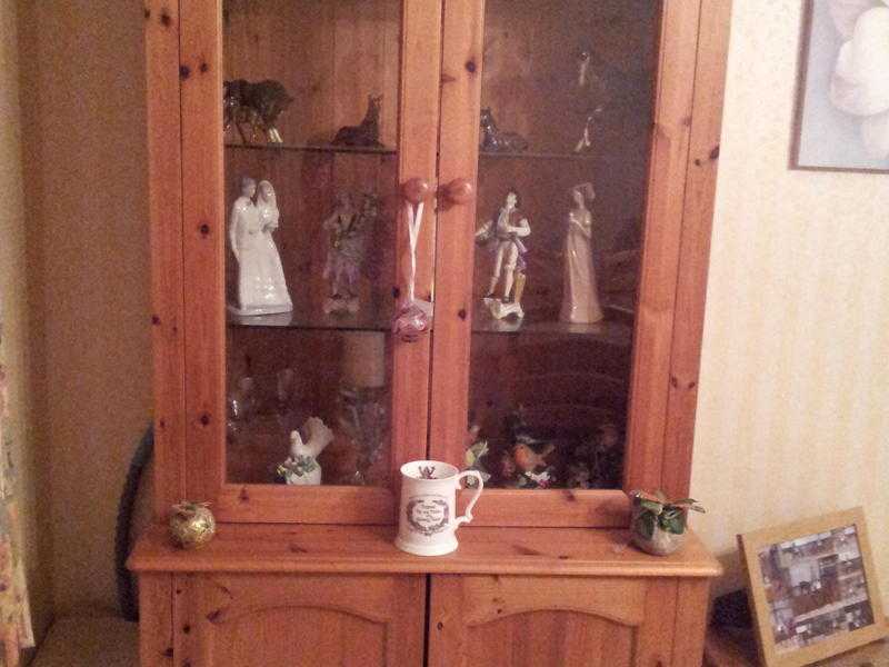 Pine Glass Display Unit