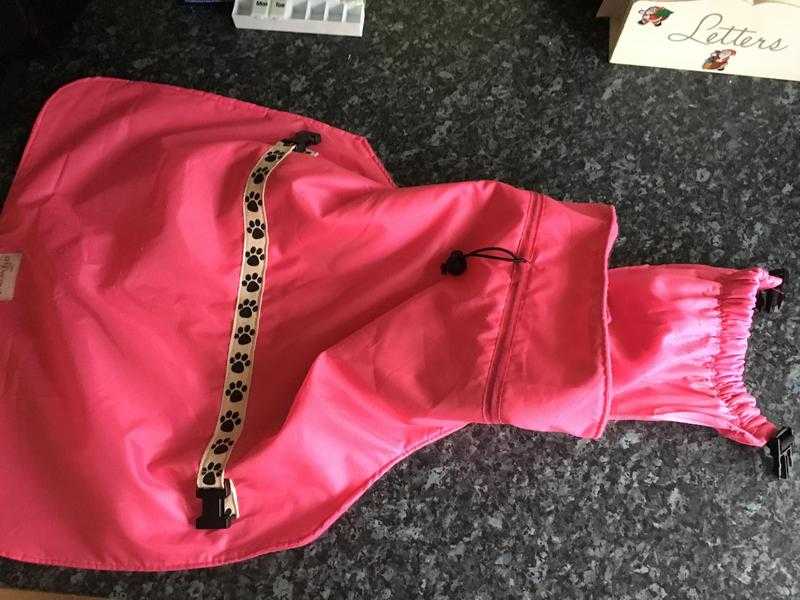 Pink Dog coat