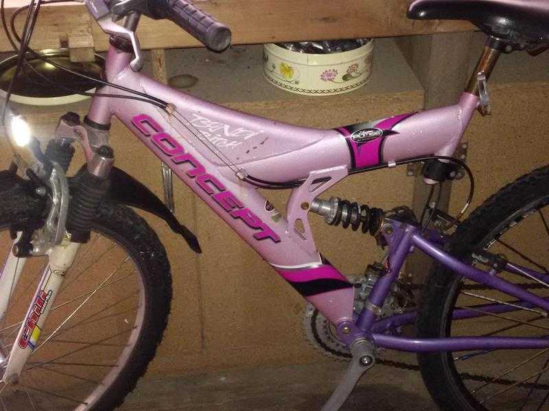 pink girls concept mountain bike