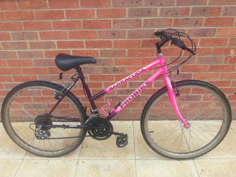 Pink ladies barracuda 18 speed