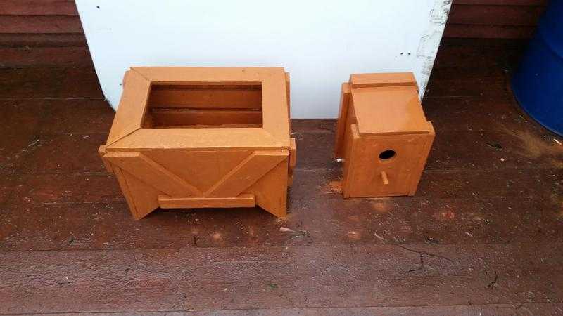 plaint box bird box