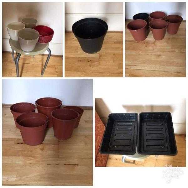 Plant pots (plastic and porcelain) , plant food
