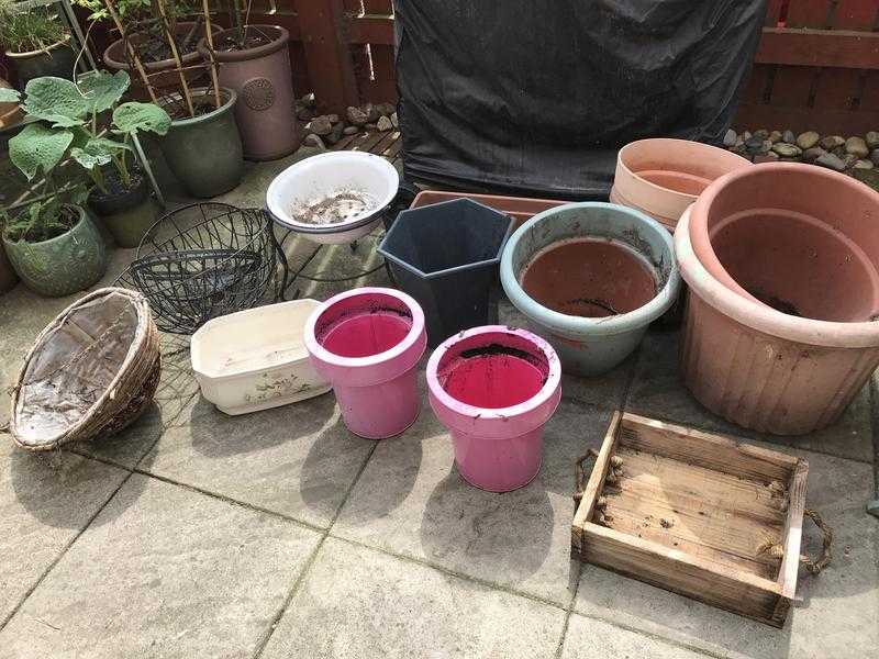 Planters  hanging baskets